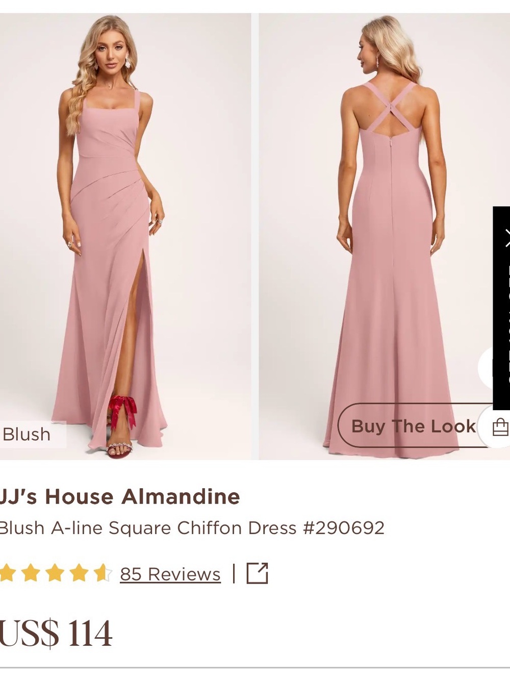 JJs House Blush Chiffon A-Line Maxi Dress with Side Slit
